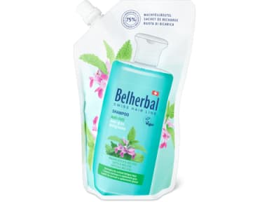 Anti-Fett Shampoo
