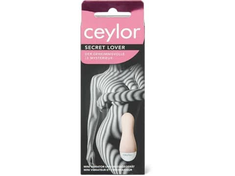 Mini vibratore Secret Lover