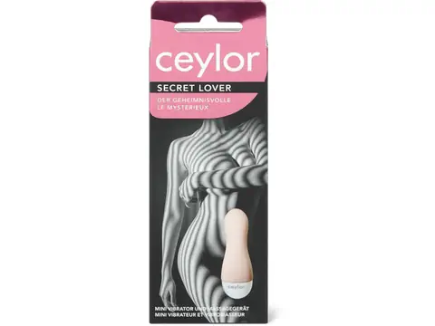 Secret Lover mini vibrator