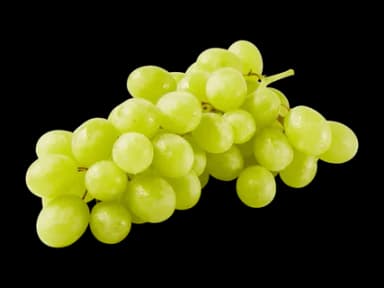 Raisin blanc sans pépins bio · 500 g