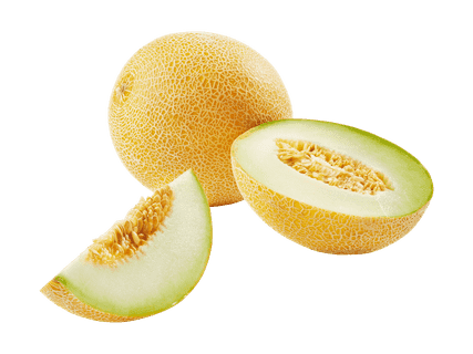 Galia melon