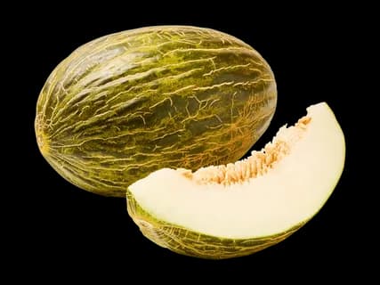Melone piel de sapo