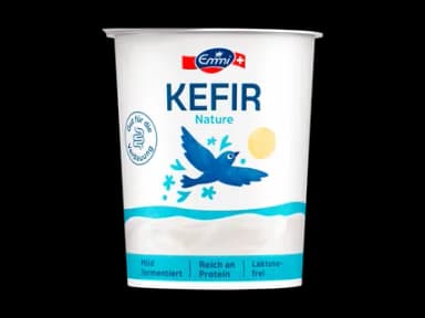 Yogourt Kéfir nature