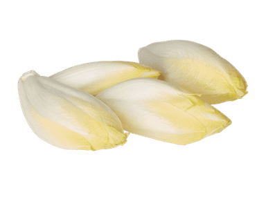 Endive suisse