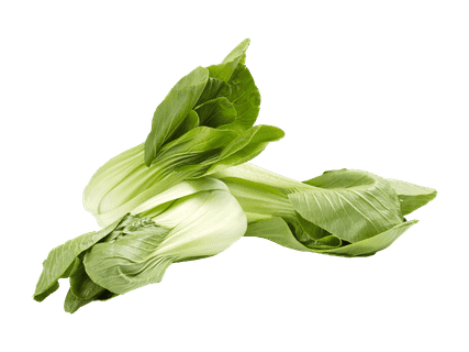 Pak Choi svizzeri