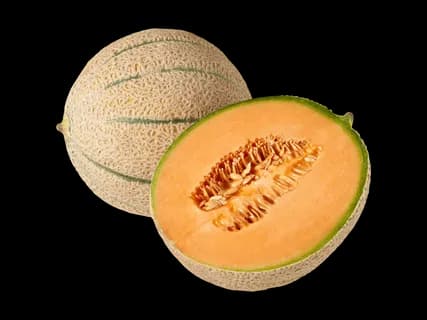 Melone di Cantalupo