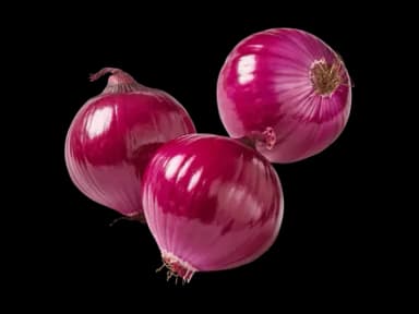 Schweizer Bio Zwiebeln rot · 500 g
