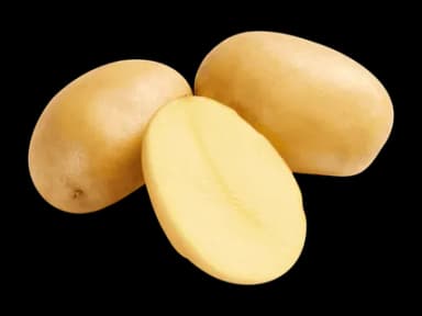 Schweizer Bio Kartoffeln festkochend · 1 kg