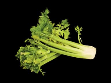Schweizer Bio Stangensellerie · 500 g